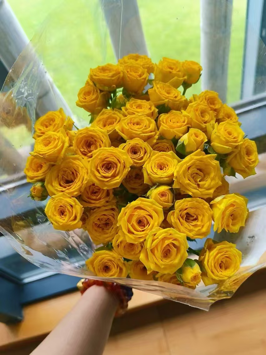 【买一送一】小头切诺基泡泡10支   多头玫瑰   云南基地鲜花 