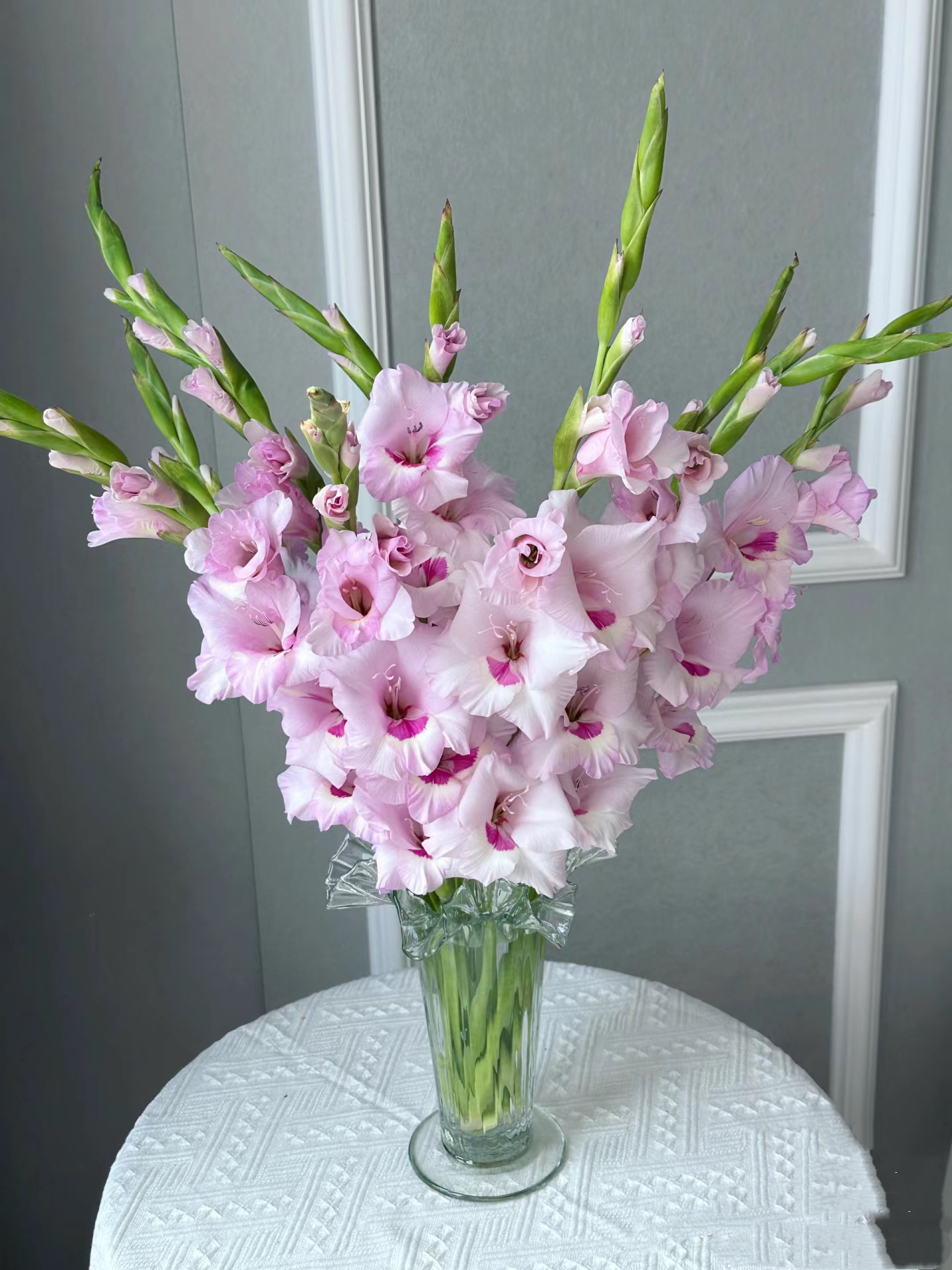一帘幽梦剑兰5支/10支 节节高 花期长云南基地鲜花   基地直发