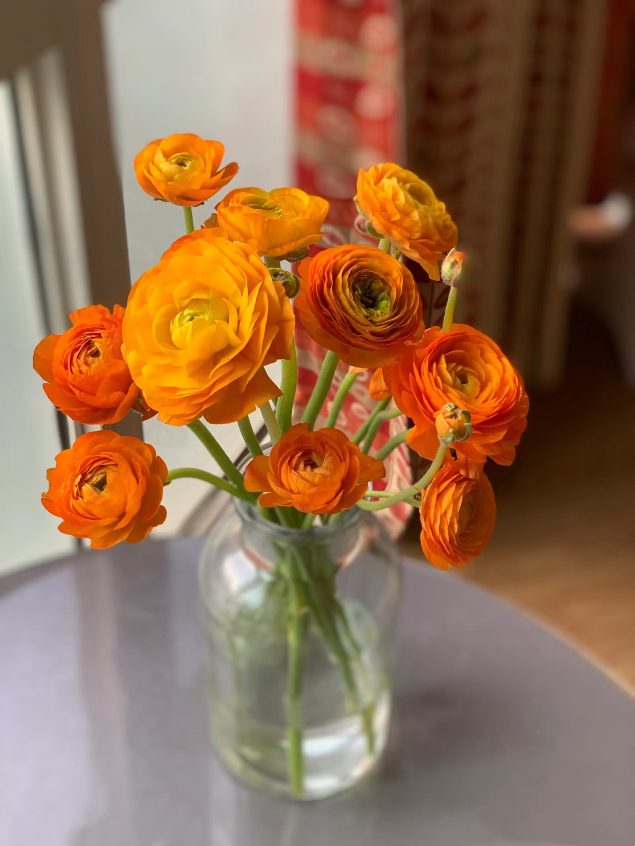 【源头一手价】橙色洋牡丹一把 应季热门花材花瓣层层叠叠 云南鲜花