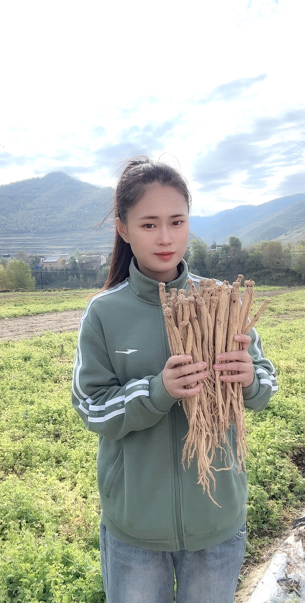 甘肃岷县自家种植白条党参（整条）