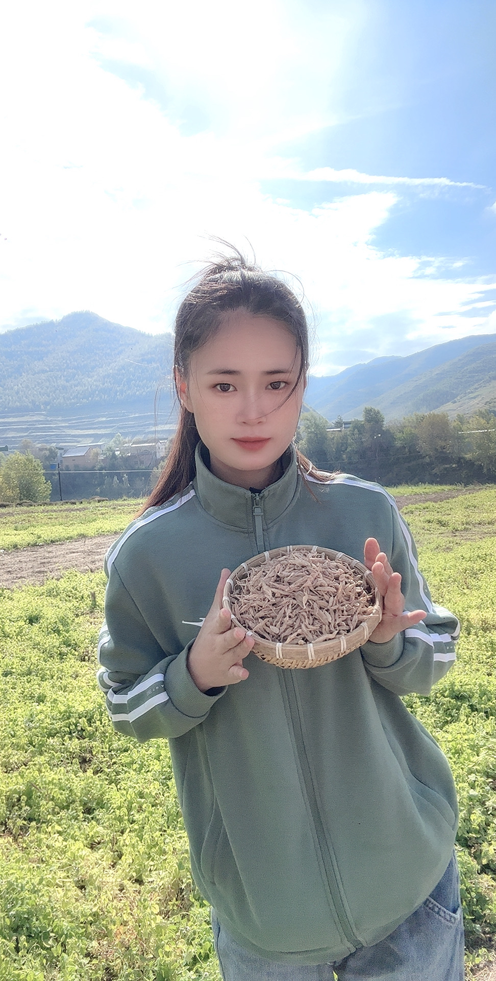 四川绵阳野生麦冬