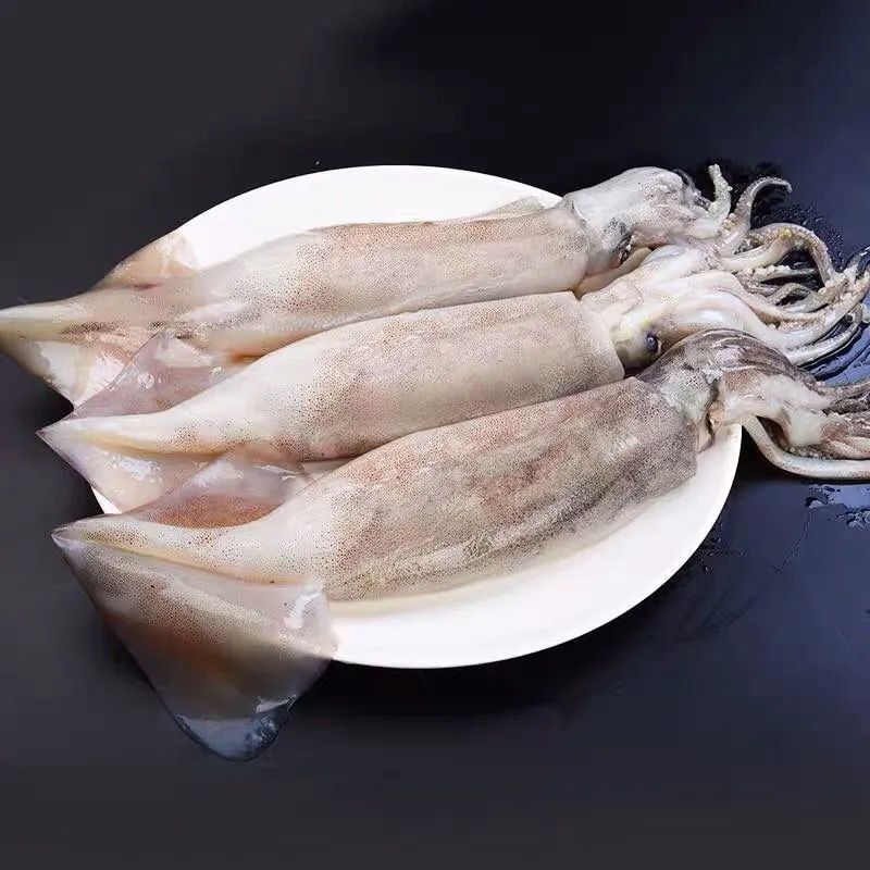 大鱿鱼 一条（默认杀好，不需杀鱼请备注）