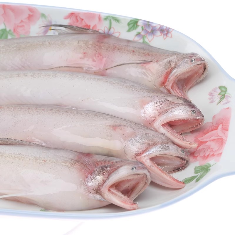 龙头鱼（豆腐鱼） 二斤