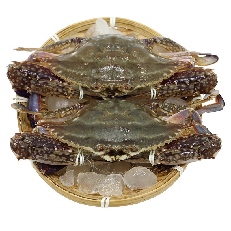 原筐小梭子蟹一份 5-10斤左右（1-3两/只）【保鲜不保活】