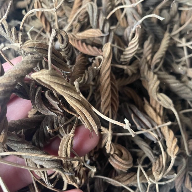 云南特产 野生 虫@草～王非豆蔻