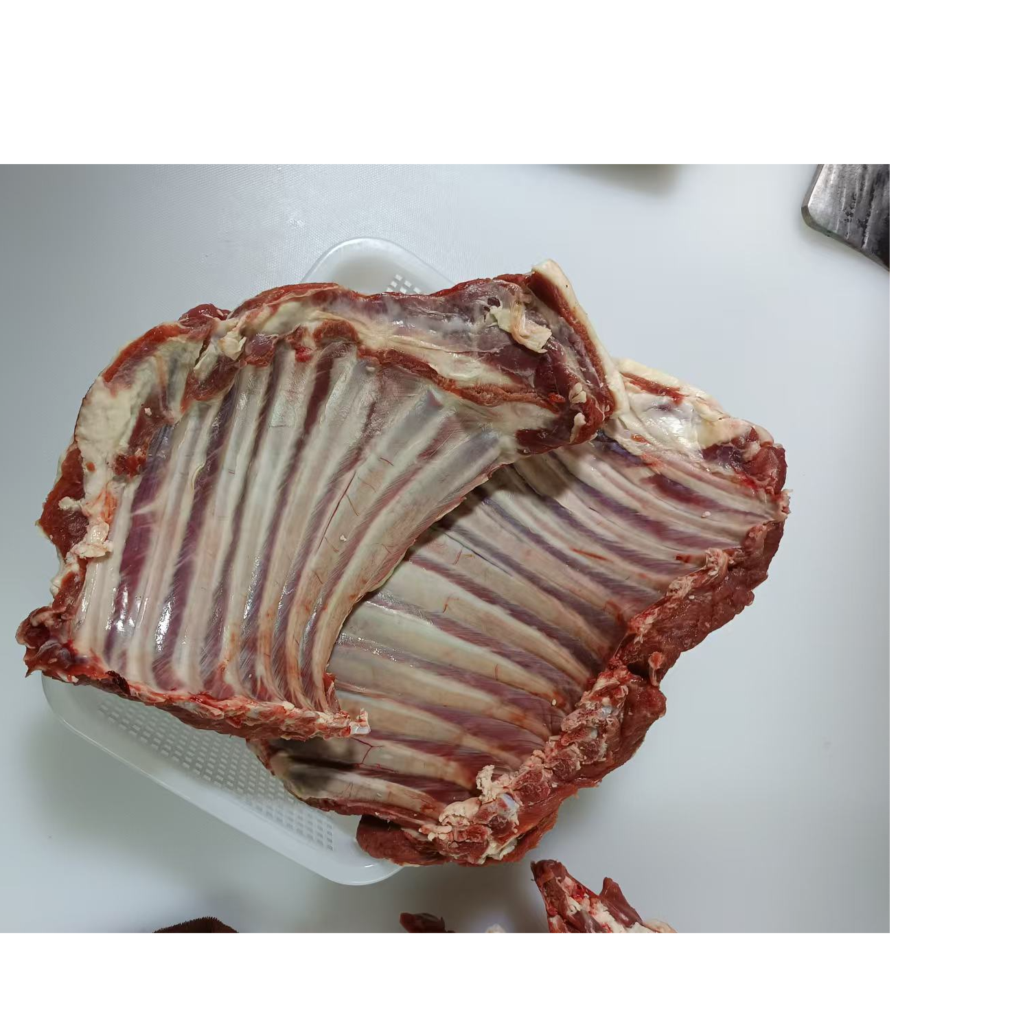 新鲜羊排农户大哥散养包邮羊排肉生鲜拓荒者羊肋排