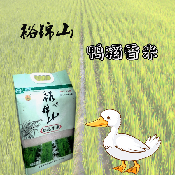 裕锦山鸭稻香米5kg  东北大米直邮