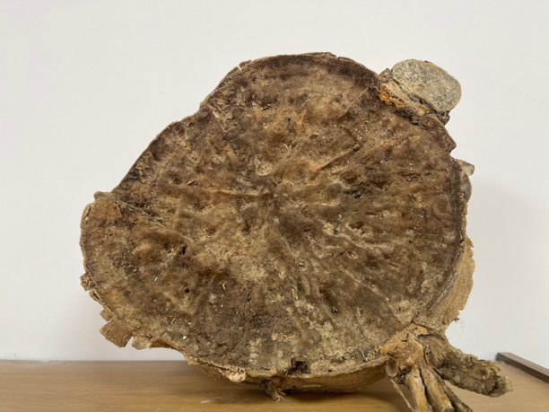 天然水格老顶 包头