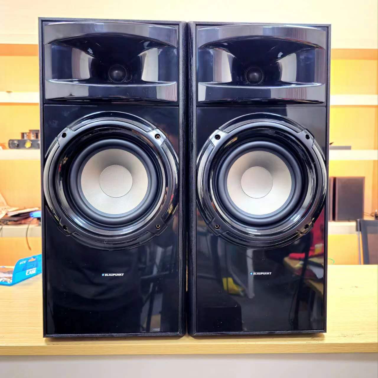 国际品牌K歌音箱