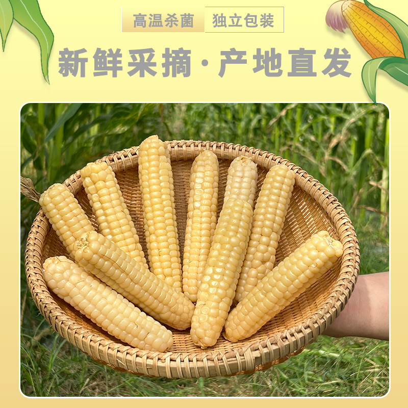 开袋即食傣家天然新鲜采摘种植真空包装 拇指小玉米1.5kg礼盒装