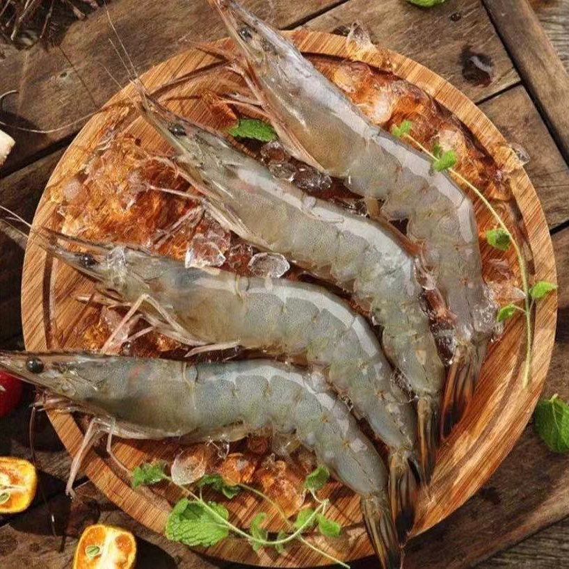【四斤推荐】中大号海虾13-16cm每斤16-18只左右顺丰发货