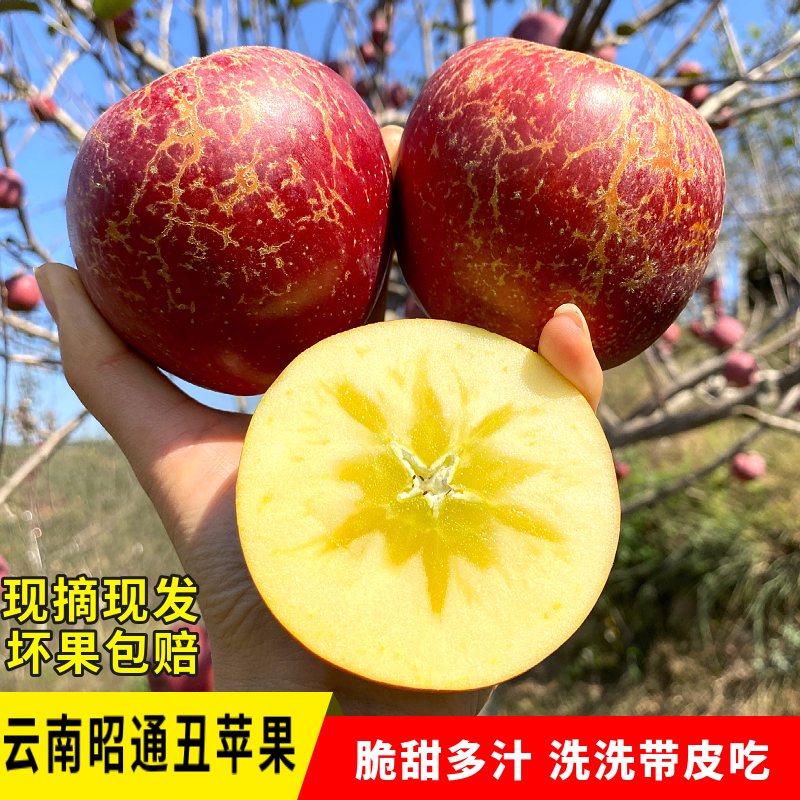  云南昭通冰糖心丑苹果脆甜多汁新鲜脆甜当季水果5/10斤包邮