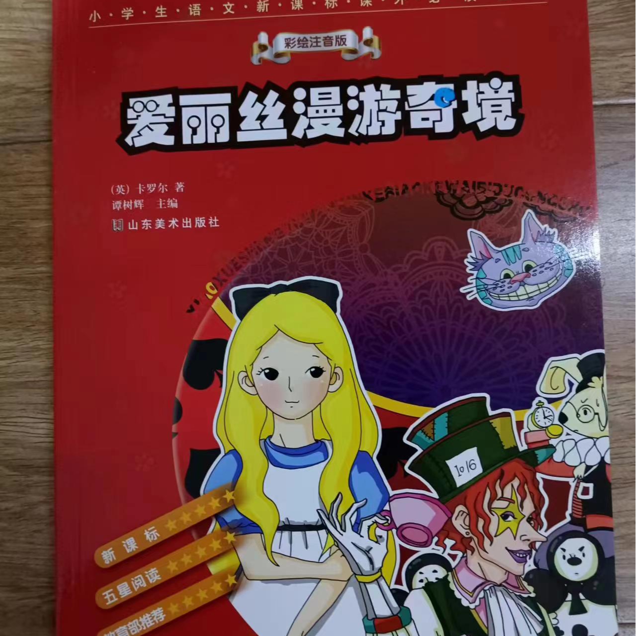 瑕疵品图书链接，爱丽丝漫游0033