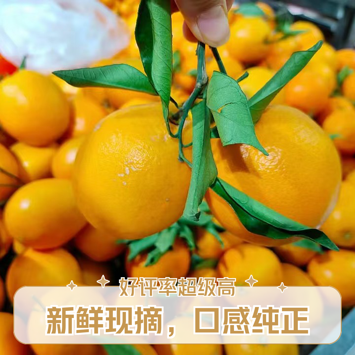 赣南脐橙（4.98/斤）