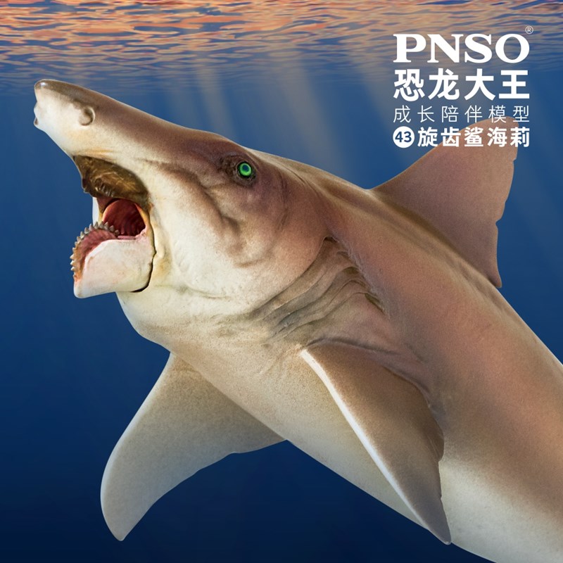 PNSO恐龙大王成长陪伴模型43旋齿鲨海莉手办