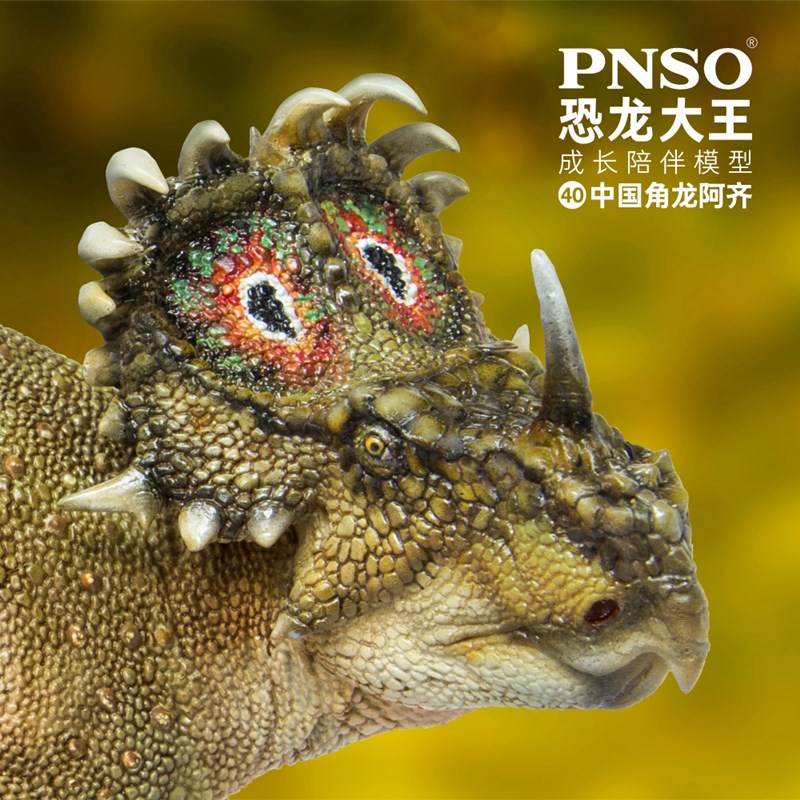 PNSO恐龙大王成长陪伴模型40中国角龙阿齐手办