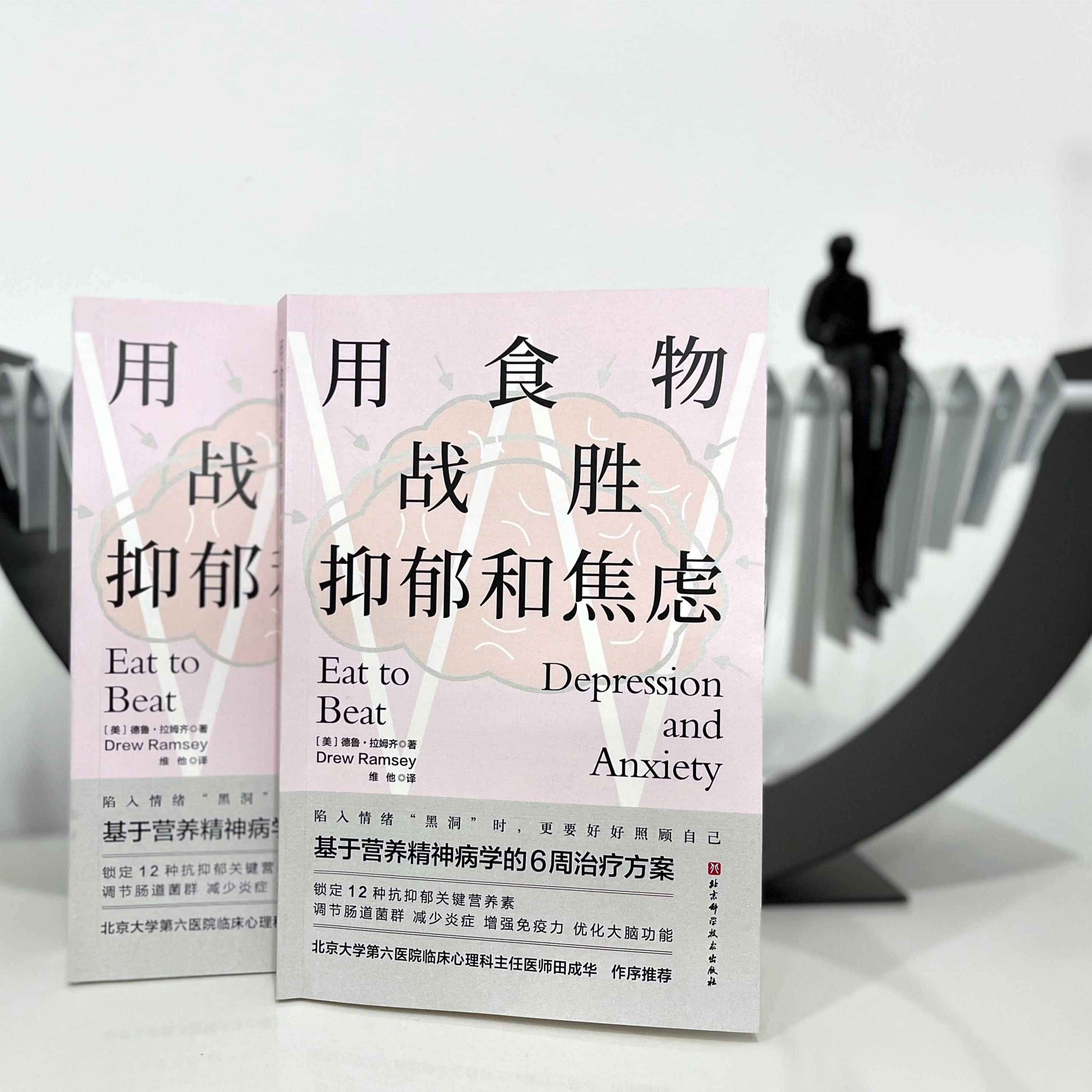 北京科学技术出版社有限公司用食物战胜抑郁和焦虑