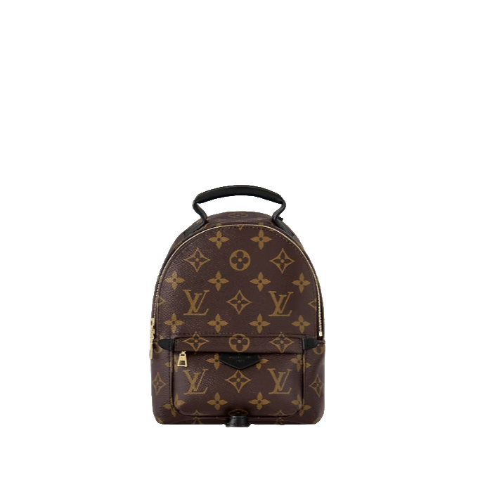 全新未使用 LouisVuitton/路易威登 新款小书包mini双肩包 经典款