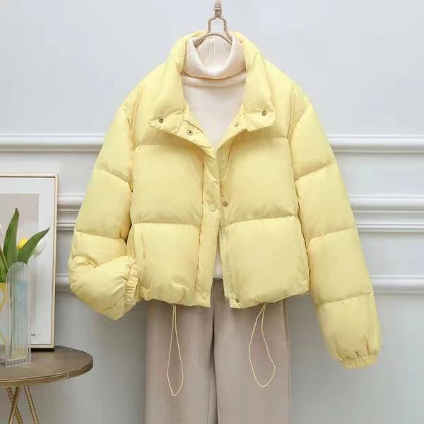 新款2023羽绒服韩国东大门原版羽绒服女新款立领小个子面包服短款