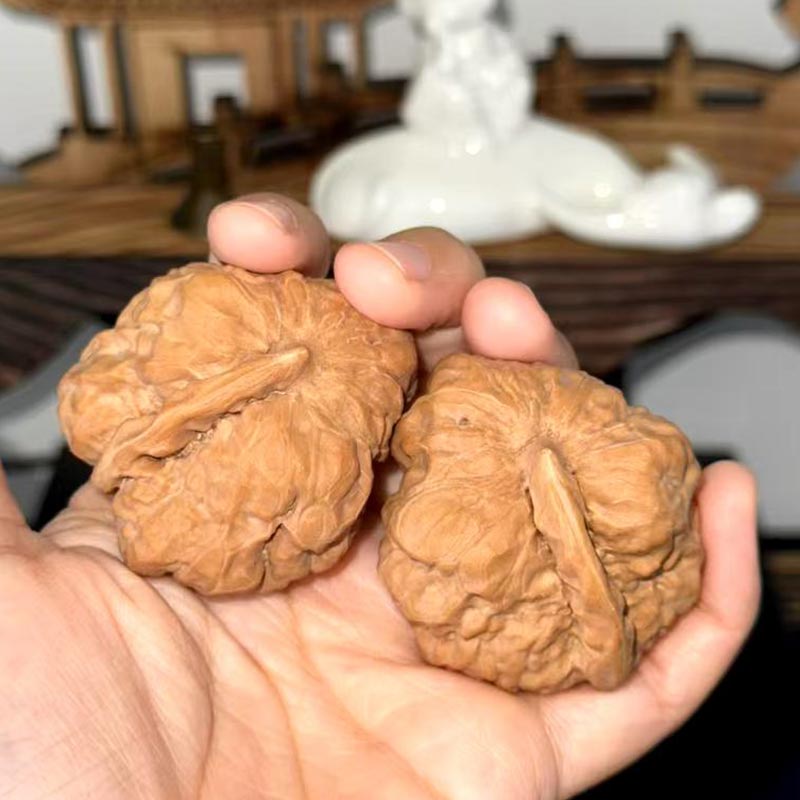 蛤蟆头，一帆风顺