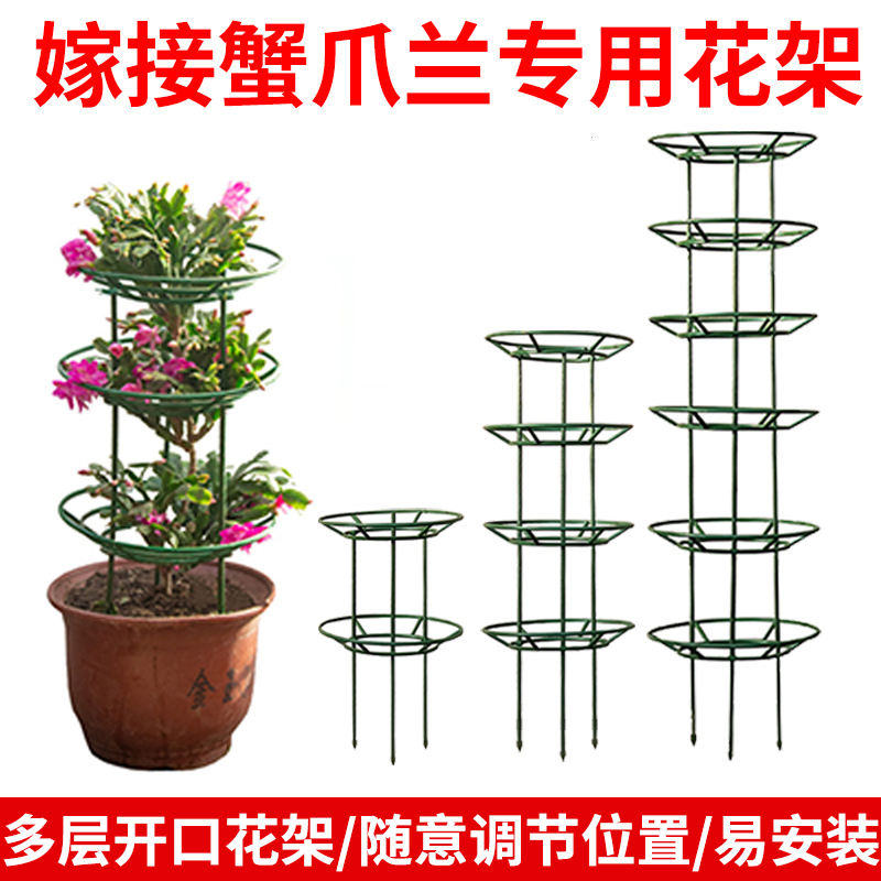 蟹爪兰多层双层开口支架园艺花架护叶防倒花托固定叶仙嫁接支撑架