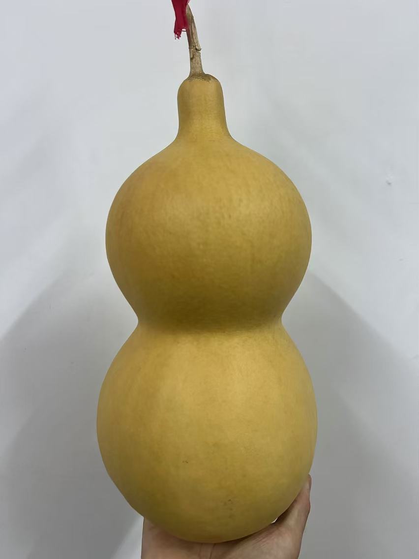 葫芦多选款，下单直拍款