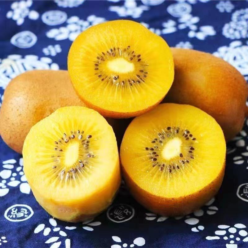 阳光金果猕猴桃西梅嫁接苗果树苗南北方种产地发货