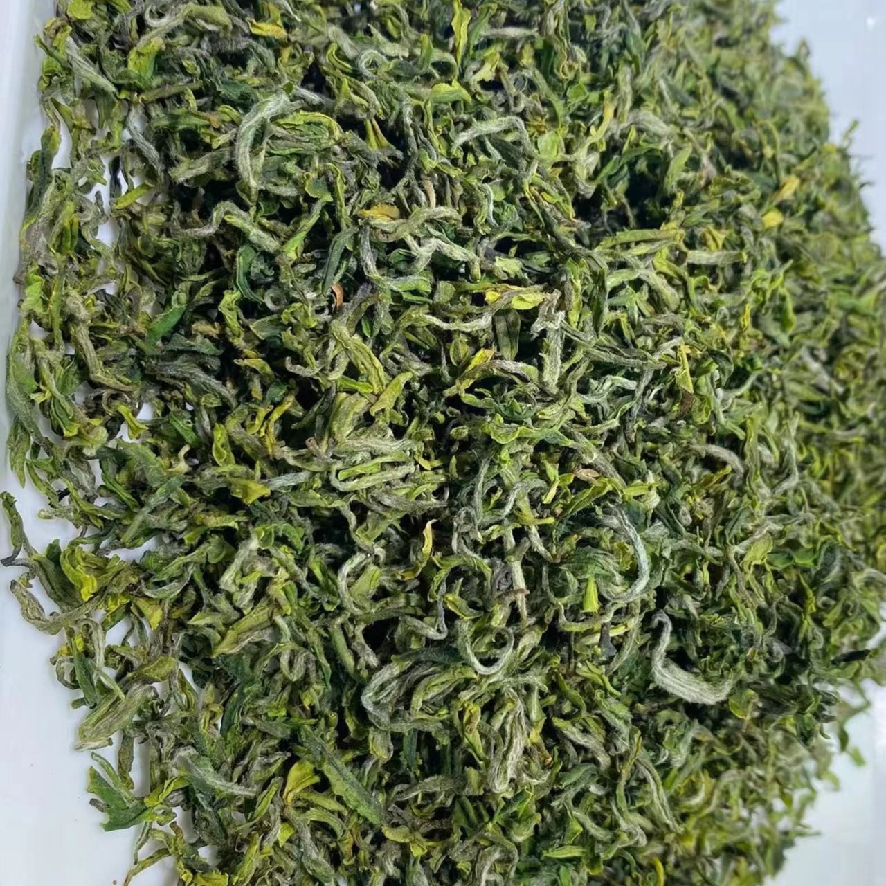 日照绿茶头采初春芽（特级）净含量50g