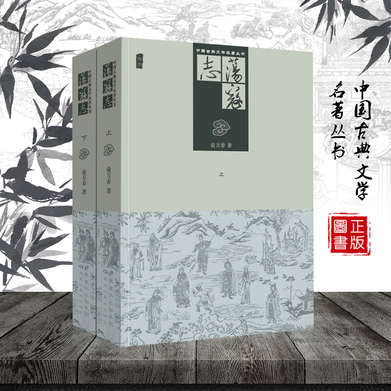 荡寇志（上下两册）插图版 荡寇志上下册 经典文学名著书籍