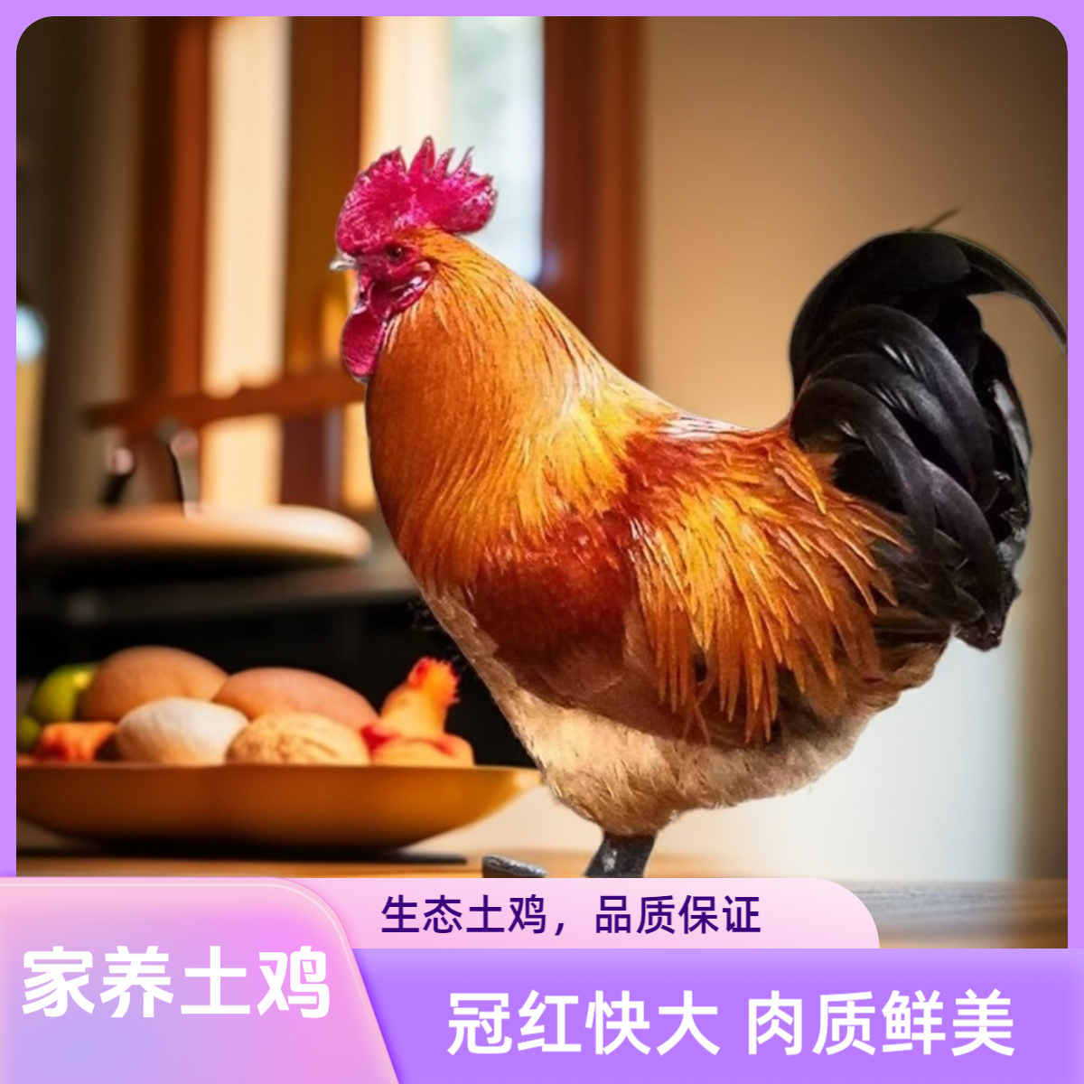 云南家养土鸡，块头大，颜色亮，肉质鲜美值得选择（顺丰快递）