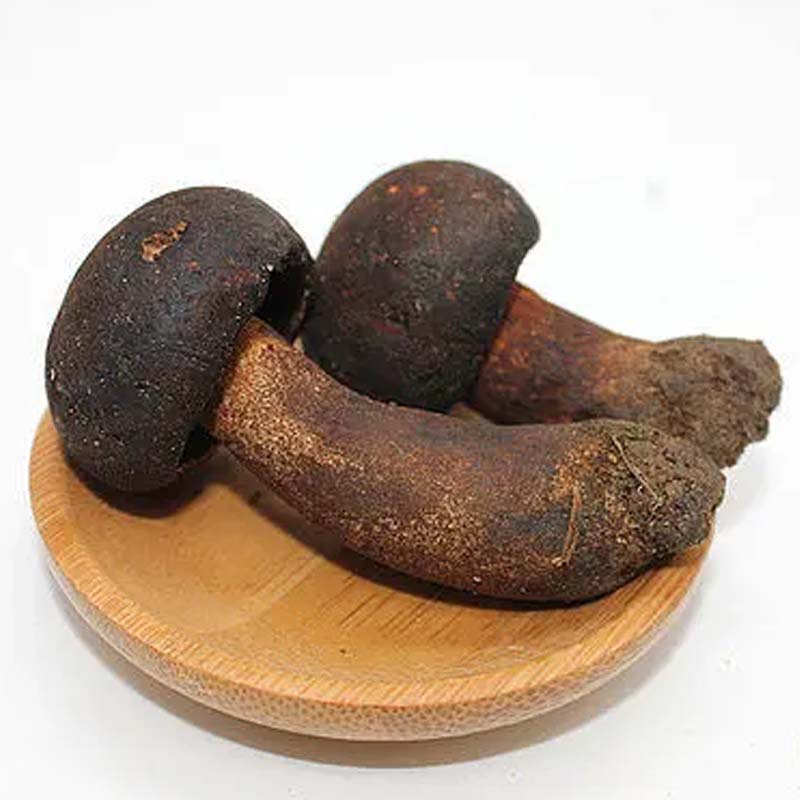 云南鲜牛肝菌 黑牛肝 1000克