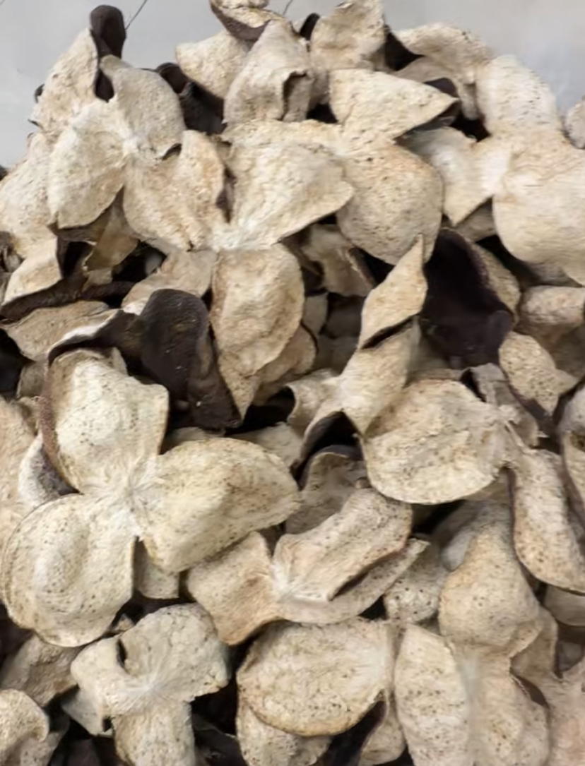 新会陈皮梅江原枝大红皮