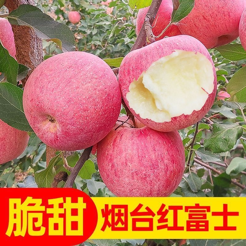 六斤苹果新鲜水果粉面香甜