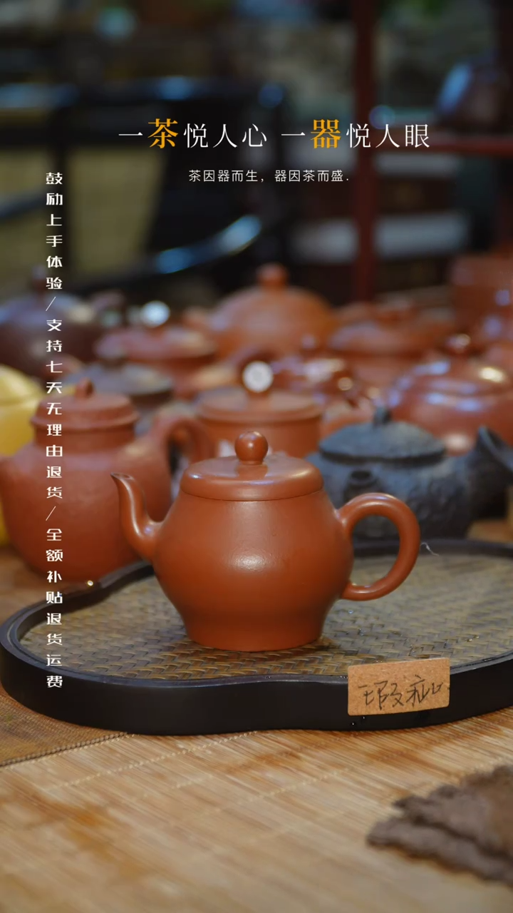 【闪购商品】111163