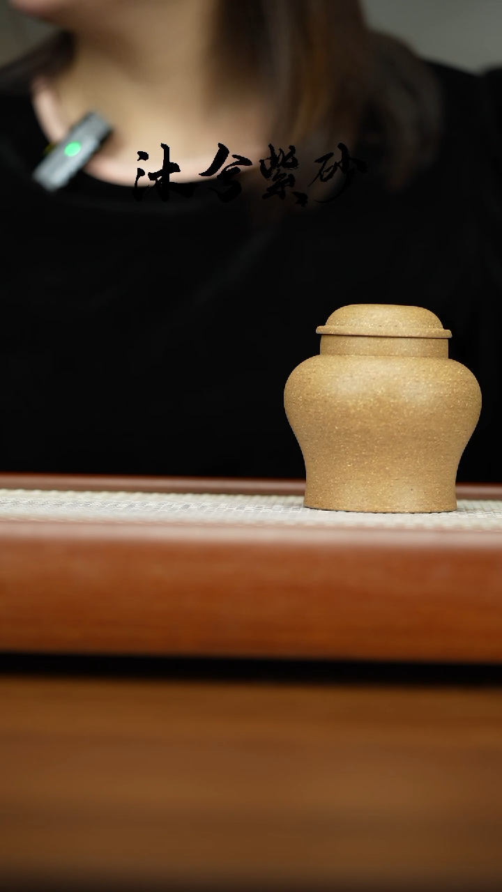【闪购商品】紫砂茶壶1