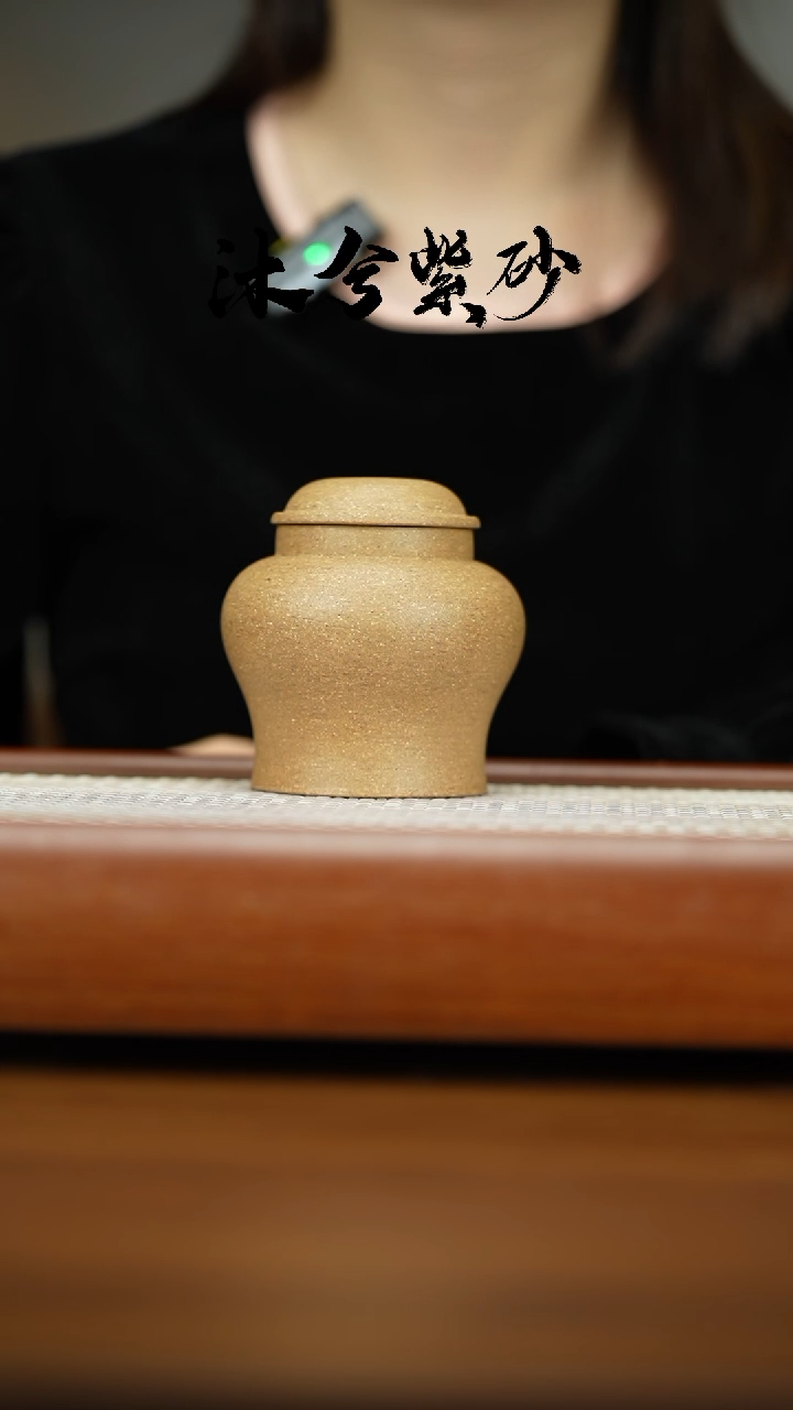 【闪购商品】紫砂茶壶1