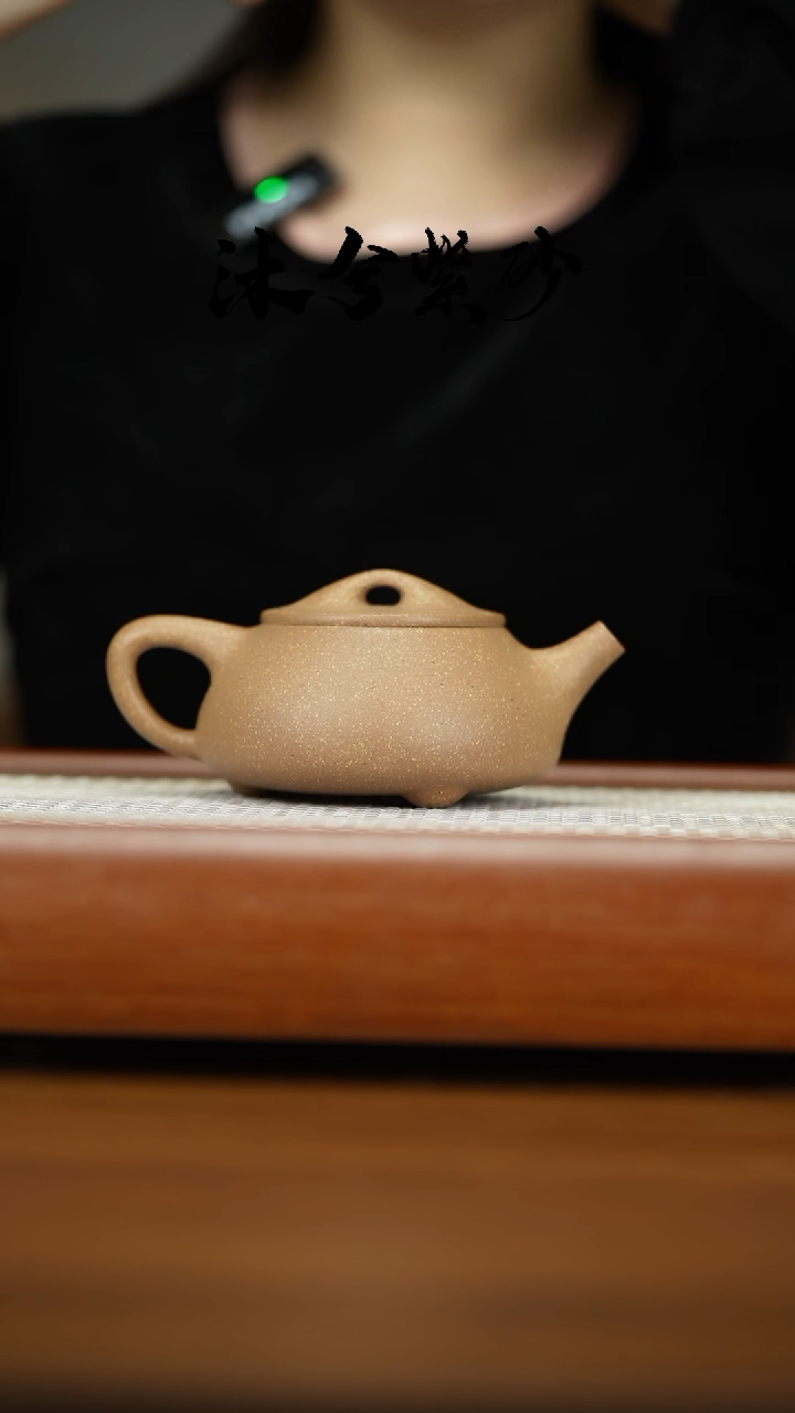 【闪购商品】紫砂茶壶1