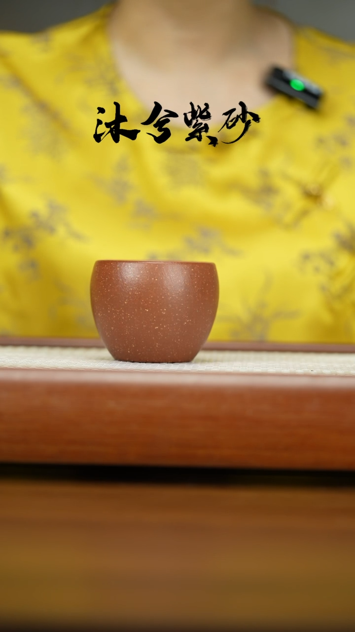 【闪购商品】紫砂茶壶1