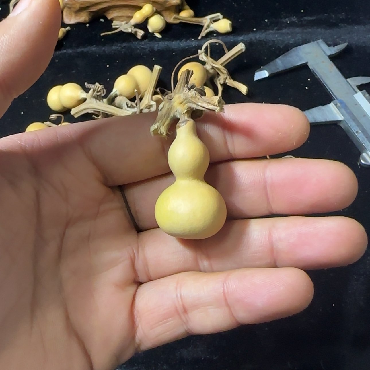 【闪购商品】天然葫芦3****人