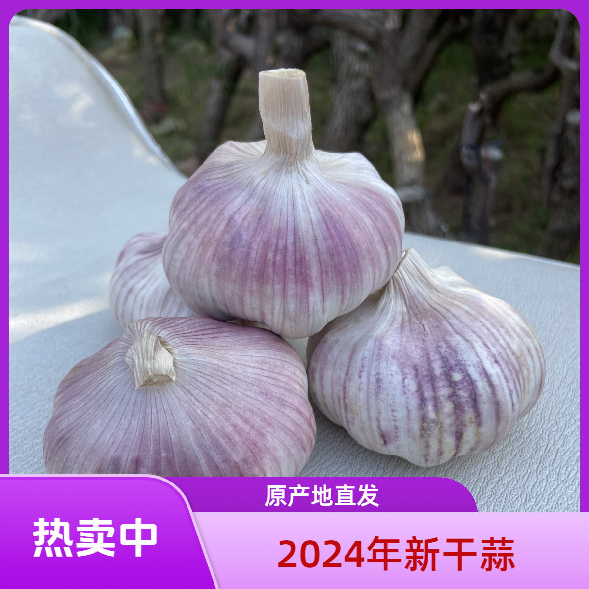 1农家新干蒜自种紫白皮大蒜坏果包赔包邮挑选新鲜天然精选蒜味