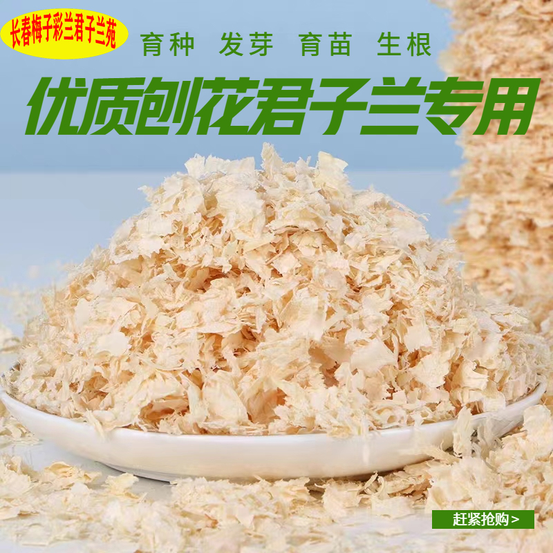 刨花木屑君子兰花专用促进发芽育种育苗生根彩兰绿兰专用优质无毒