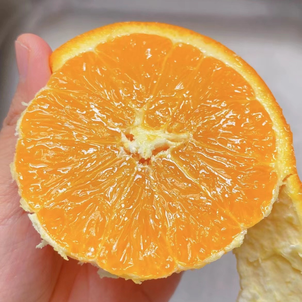 伦晚橙【净9斤】果然细腻 颗粒饱满 里面似乎还有汁水在流动