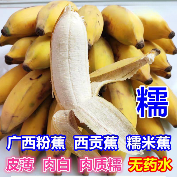 现摘现发广西 苹果粉蕉西贡蕉 小米蕉当季整箱水果自然熟芭蕉奶蕉