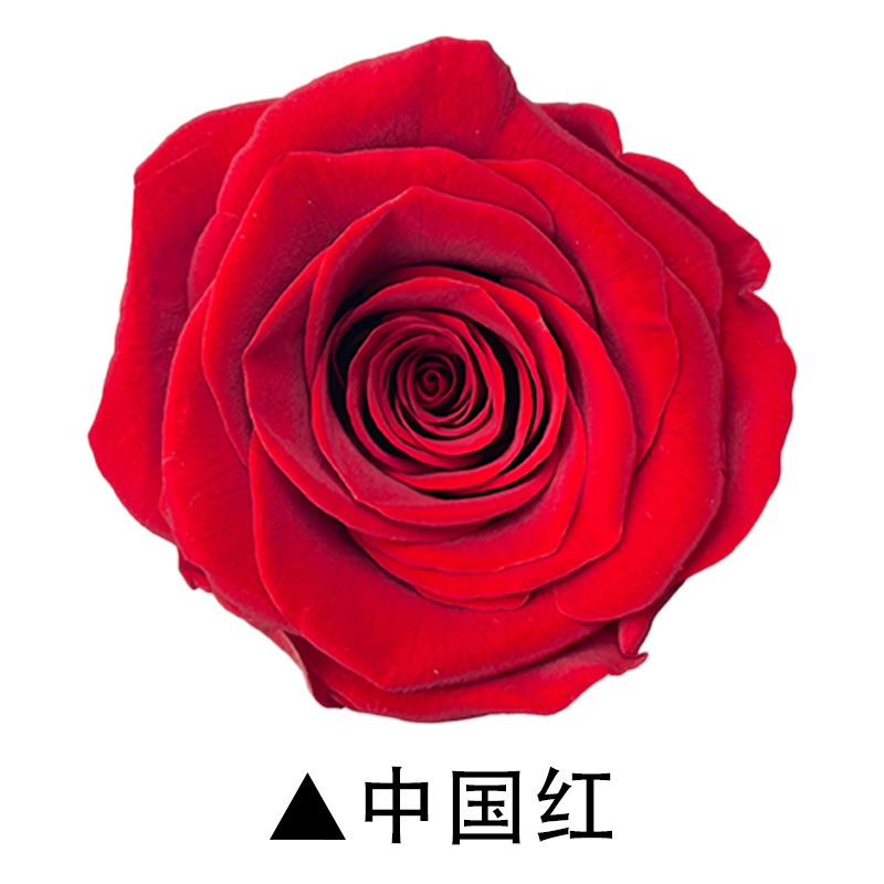 A级永生花玫瑰花头永生玫瑰真花保鲜花系列盒装定制批发现货发货