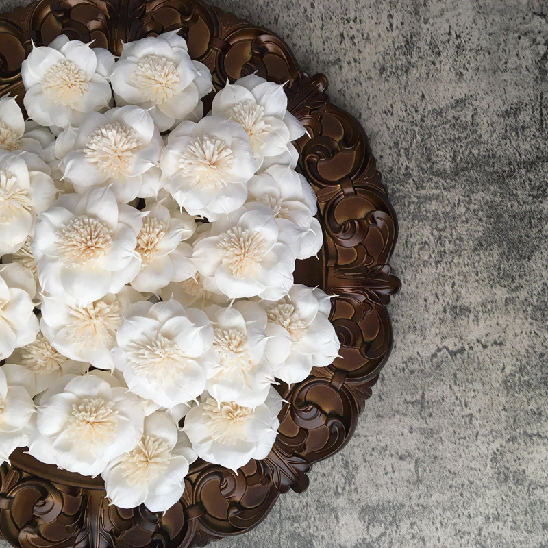 【通草铁线莲】5cm铁线莲通草花手工制作毕业季花束搭配干花配铁丝