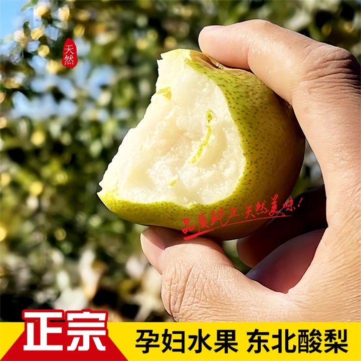 北方酸梨 安梨农家百年老树 唐山东北 做梨汁专用酸脆多汁5斤
