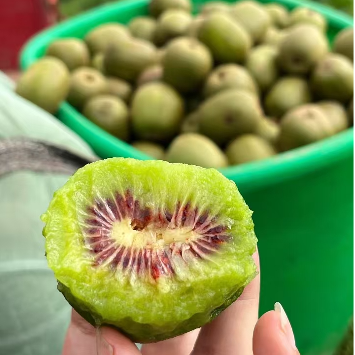 “人间仙果”红心猕猴桃正宗红阳猕猴桃新鲜5斤包邮放软食用