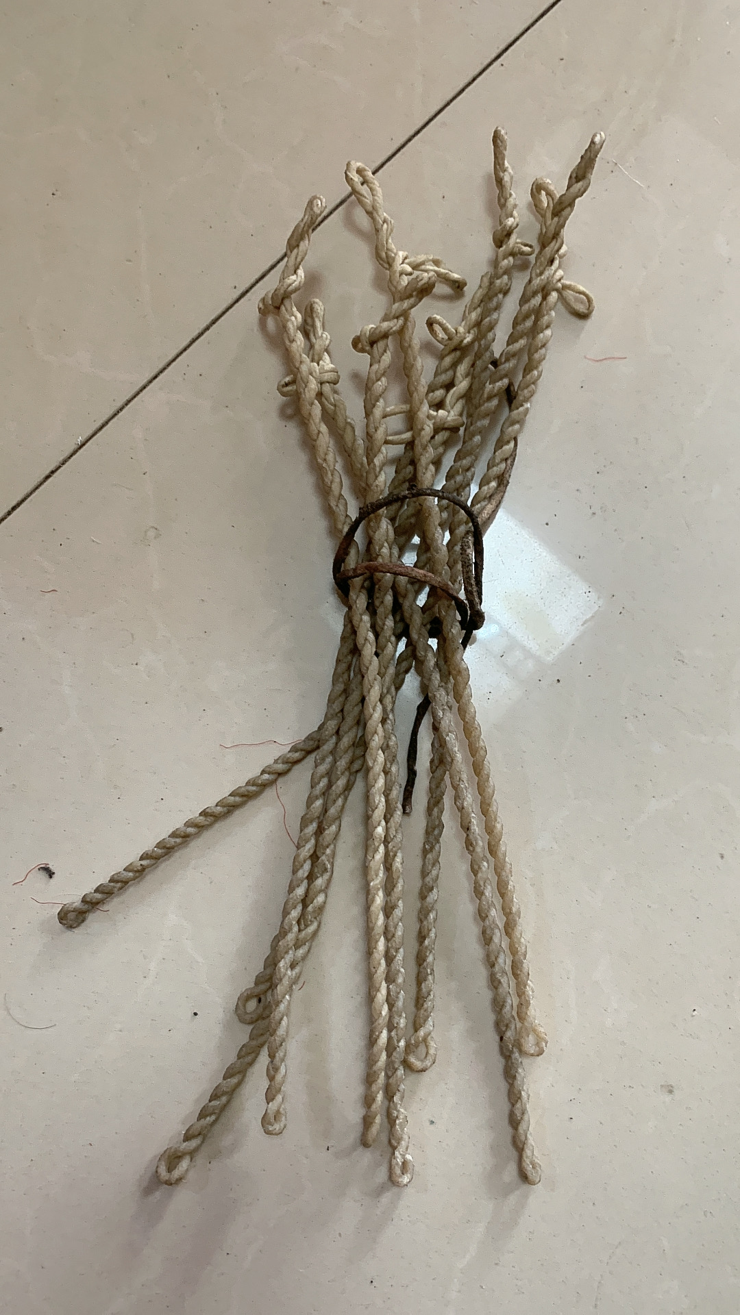 鞭油，小枣，小油，鞭鸟，