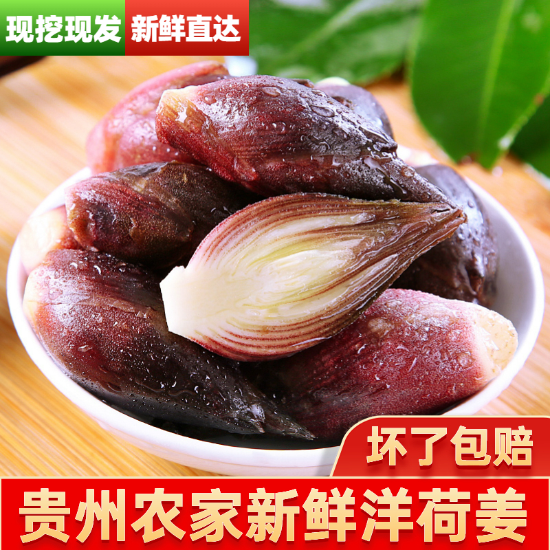 贵州洋荷姜阳荷新鲜野生杨荷贵州特产农家美味泥现摘鲜嫩0.5-4斤