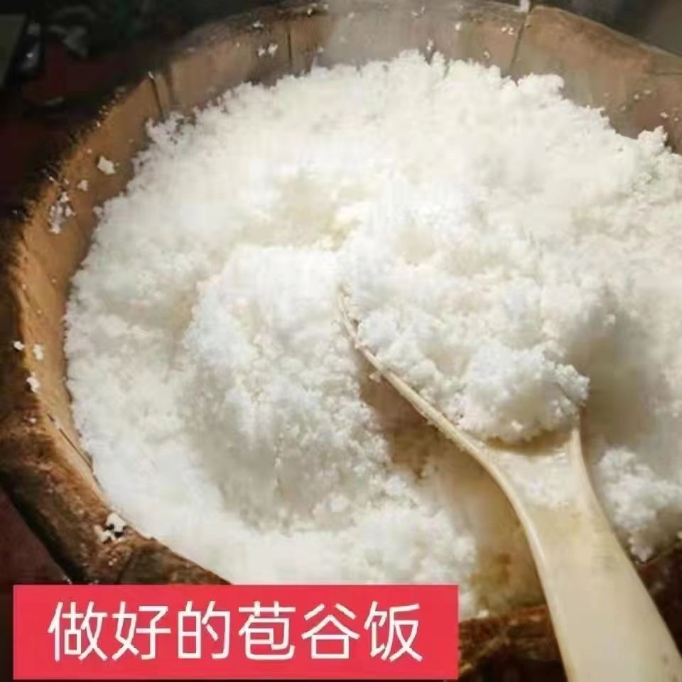 贵州农家加热速食熟苞谷饭农家熟玉米饭现磨苞米面五谷杂粮粗粮